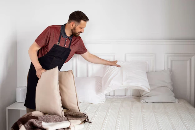 Upholstery & Mattress Cleaning
