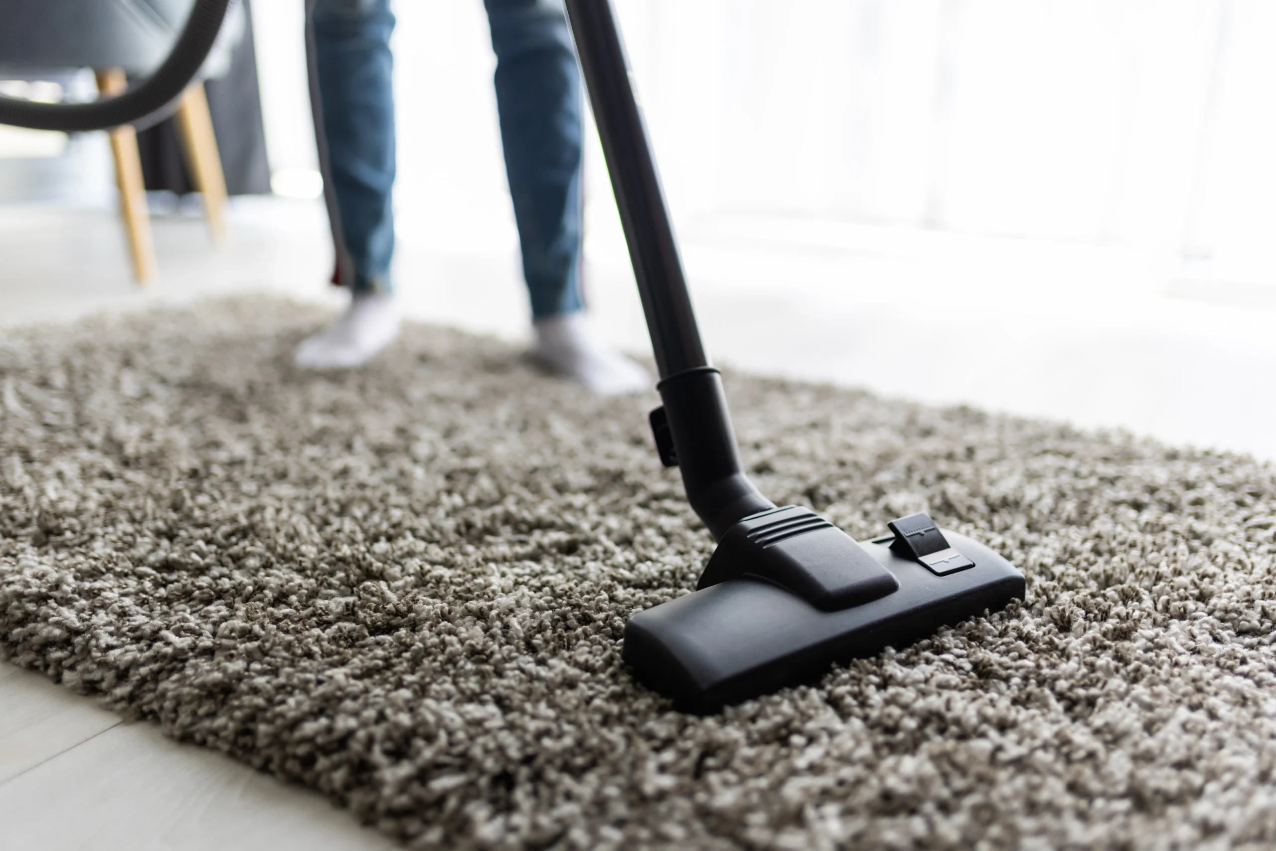 same day carpet steam cleaning